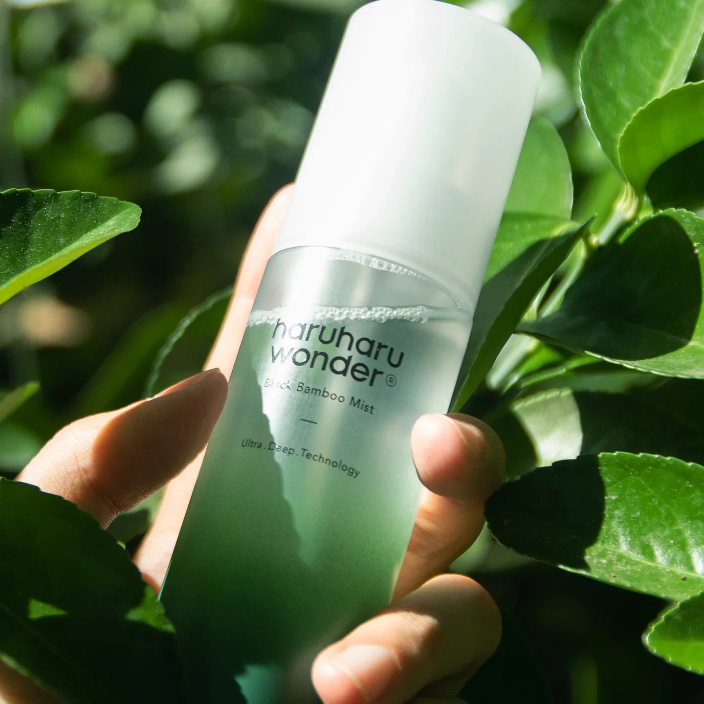 Haruharu Wonder - Black Bamboo Mist - 80ml